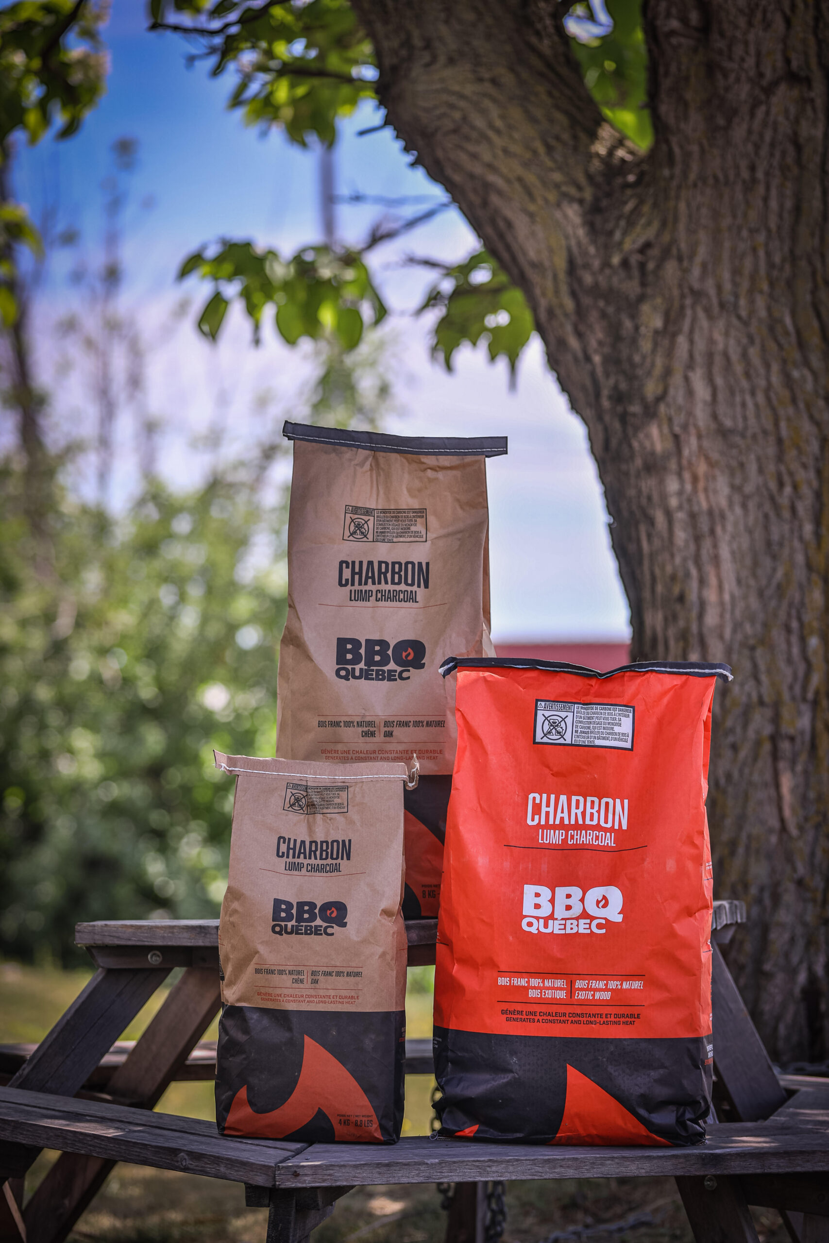 Deux charbons de barbecue, en chêne et en bois exotique